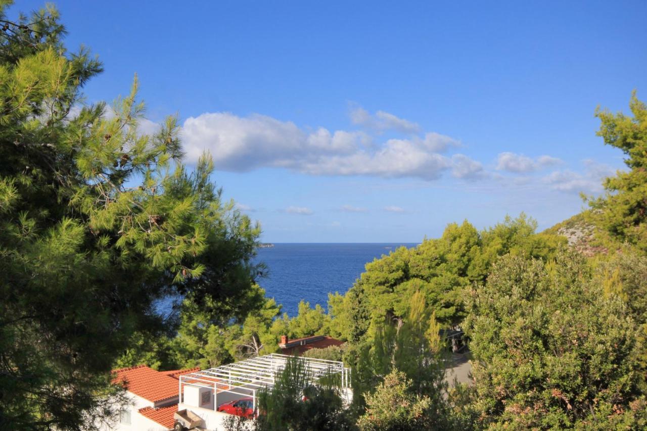 Apartments By The Sea Prizba, Korcula - 9227 エクステリア 写真